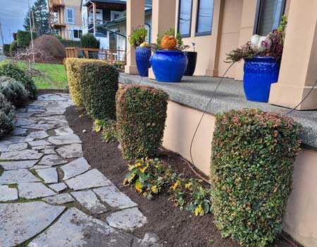 Classic Grounds Care and Home Services Grounds Care Pavers Patios Walks Steps
