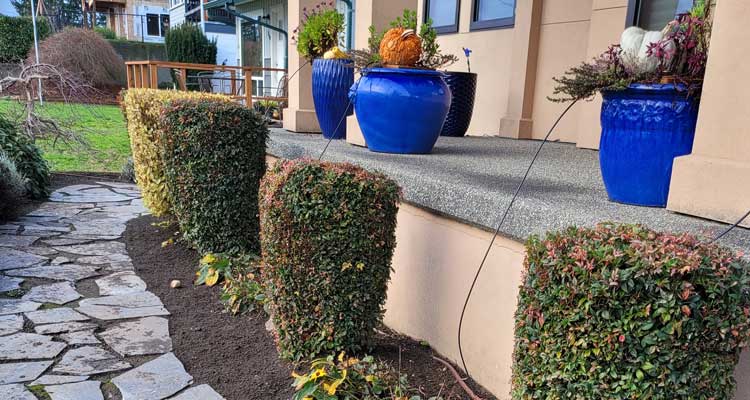 Classic Grounds Care and Home Services Steps to a successful landscape design